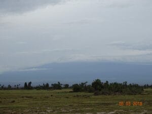 View of Mount Kilimanjaro from the African savannah, with lush landscape in the foreground