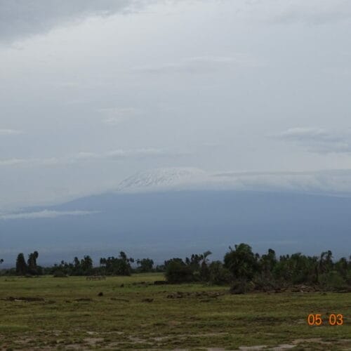 View of Mount Kilimanjaro from the African savannah, with lush landscape in the foreground