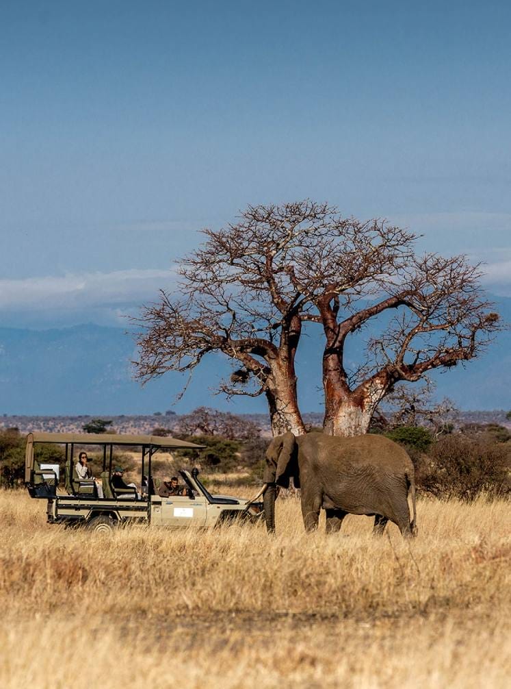 vehicle safari