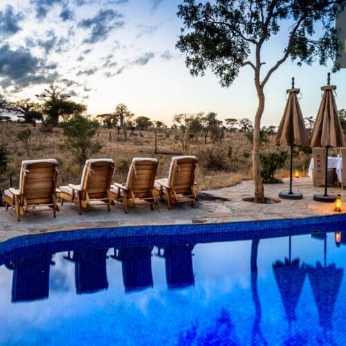 NT-6 (1) | Gamewatchers Safaris poolside sunloungers