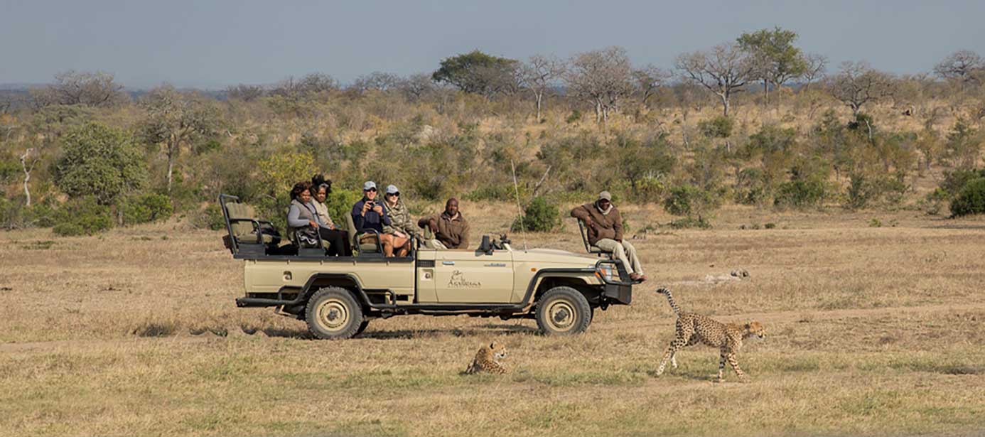 safari vehicle