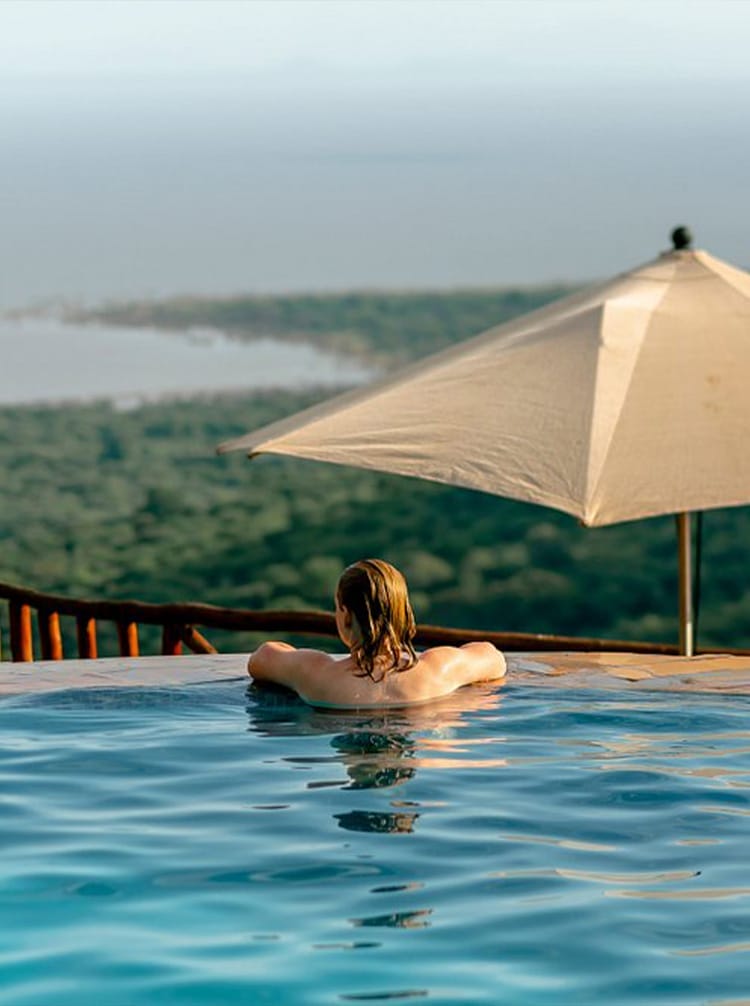 pool with view of forest