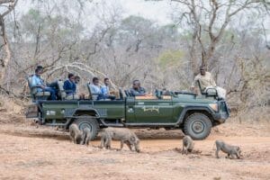 community safari