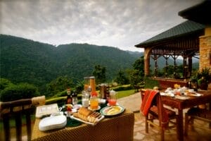 breakfast on the terrace