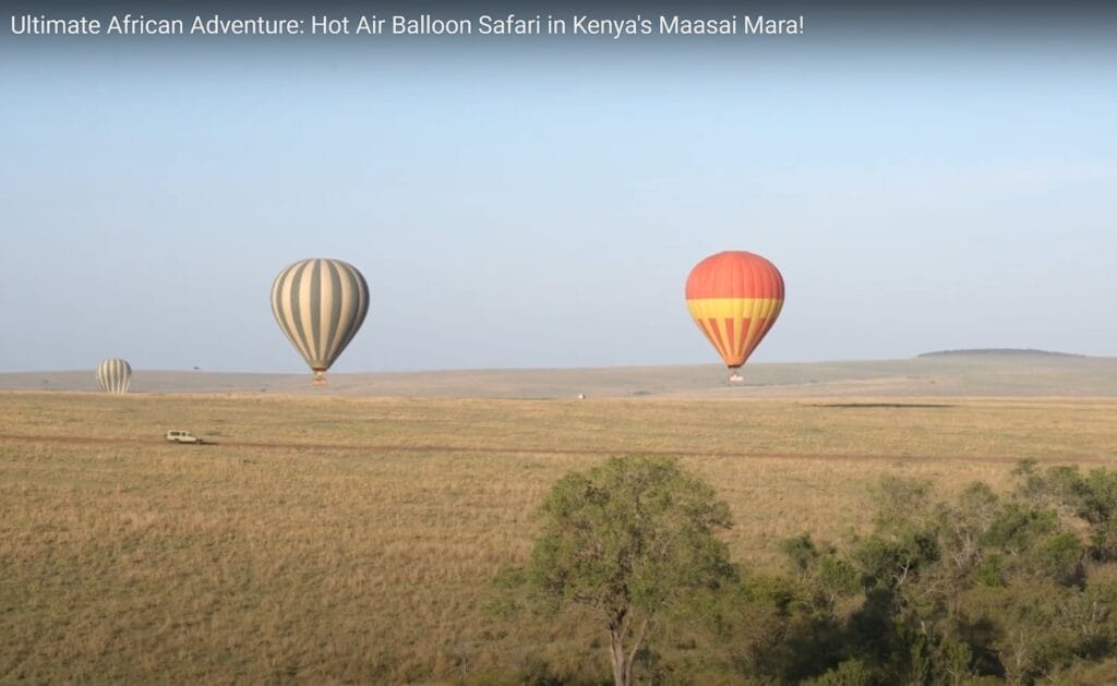 Hot Air Balloon Safari