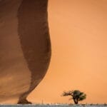NAMIBIA I Gamewatchers Safaris
