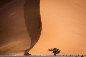 NAMIBIA I Gamewatchers Safaris