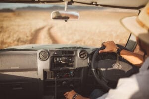 self drive road safari