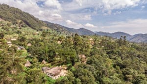 ugandan forest camp