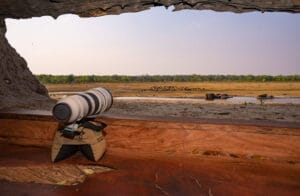 long distance photography of herd of animals