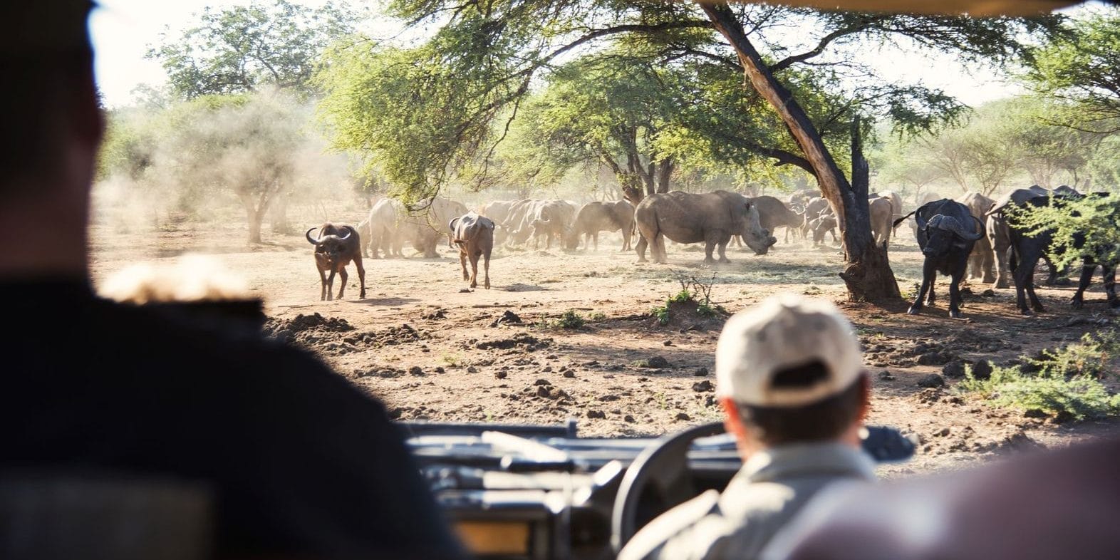 Kruger National Park