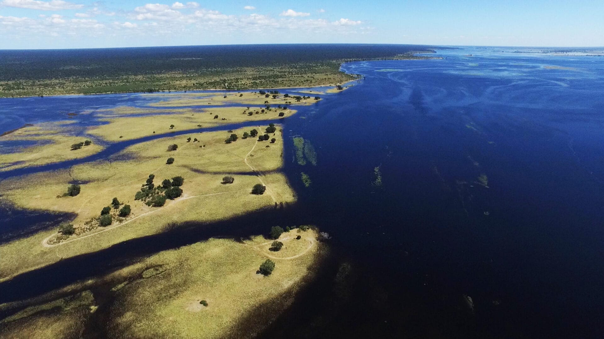 Birdseye view of Marsh by Chobe River Camp