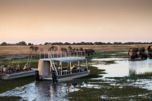Boat tour Chobe River Camp