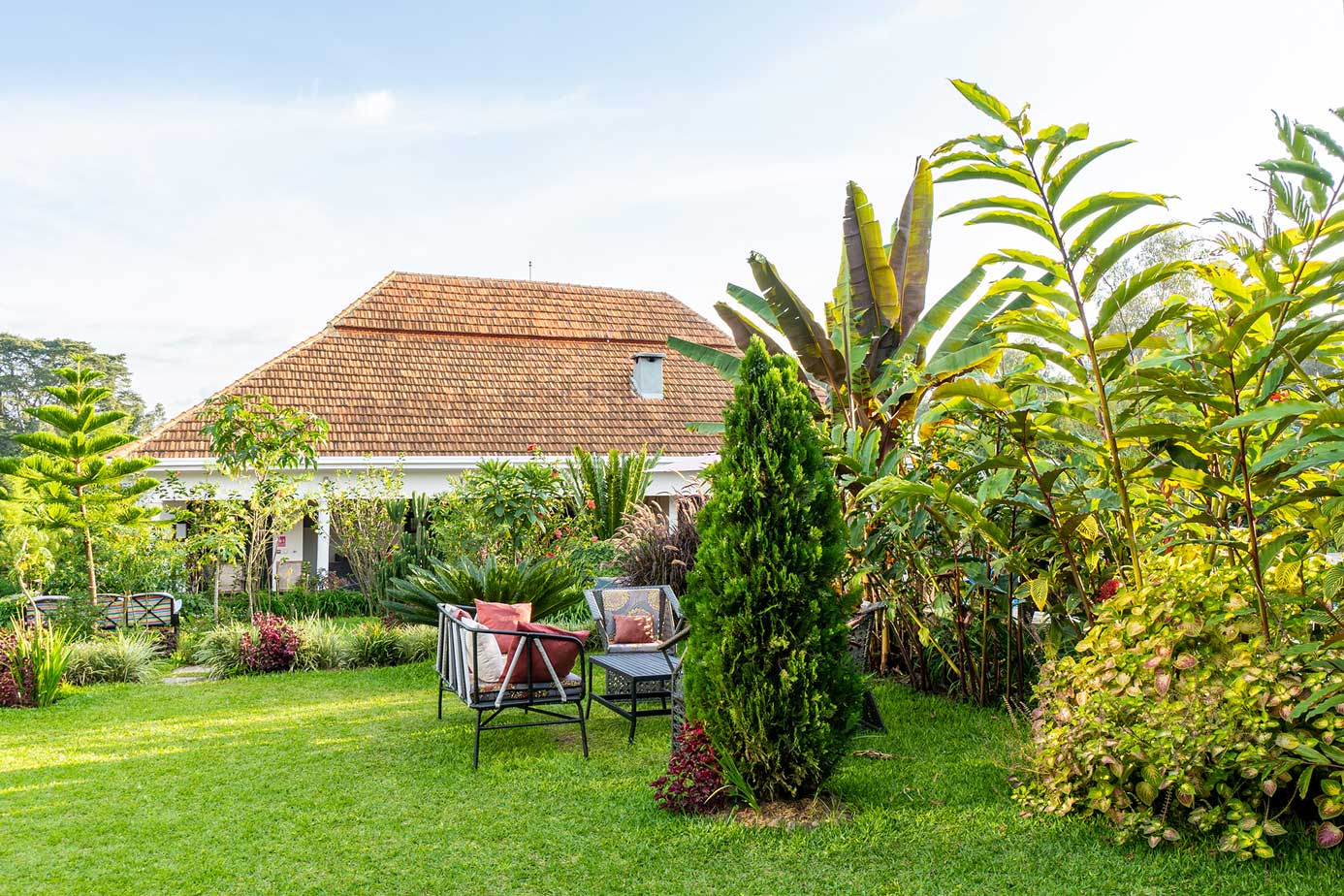 Five Volcanoes Hotel Gardens With Seating and Exotic Trees - Rwanda