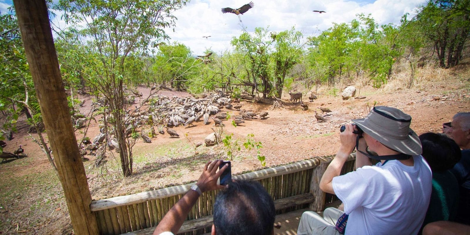 Bird Watching Safari