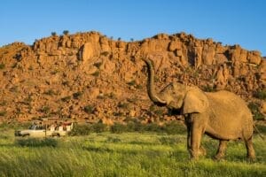 Mowani Mountain Camp Nature Drive in Green Season