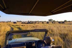 Elephants at Namushasha River Lodge