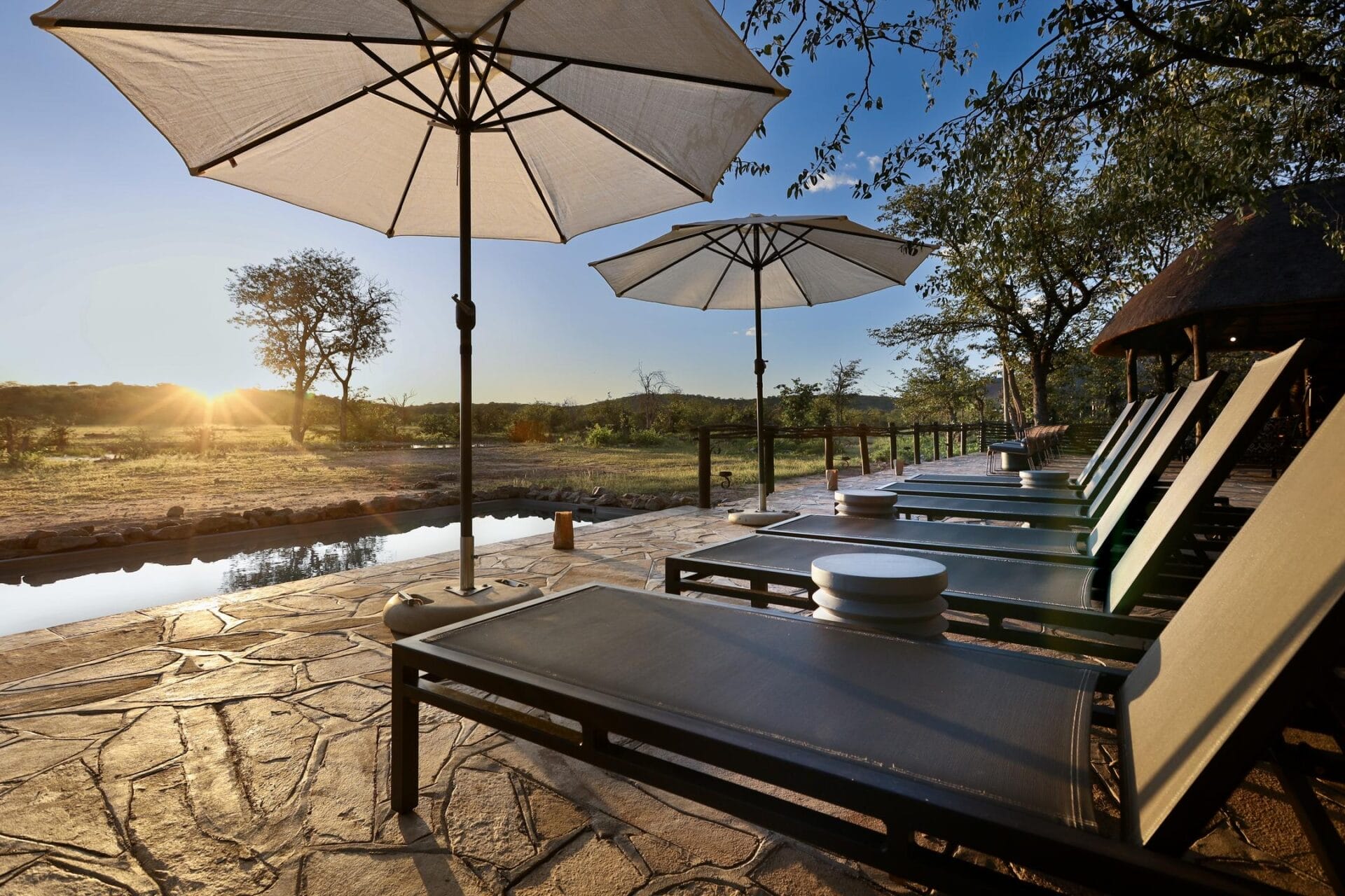 Sun Loungers Ongava Tented Camp