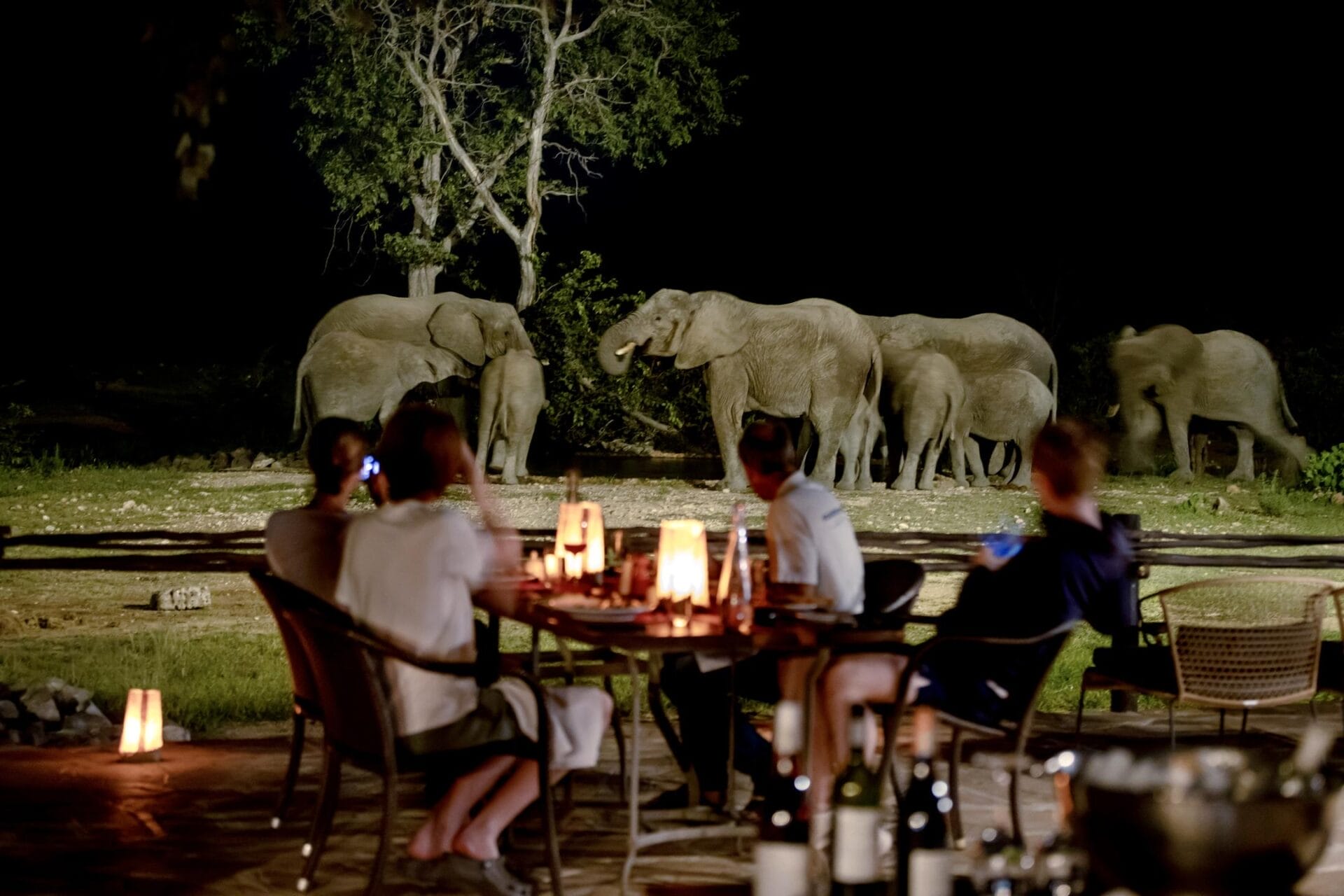 Elephants seen from Ongava Tented Camp