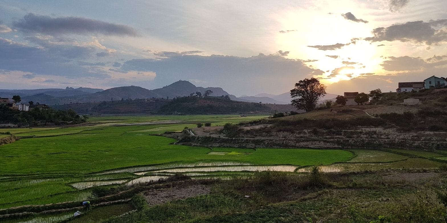 -QbIMPUG | Gamewatchers Safaris Rice Plantation