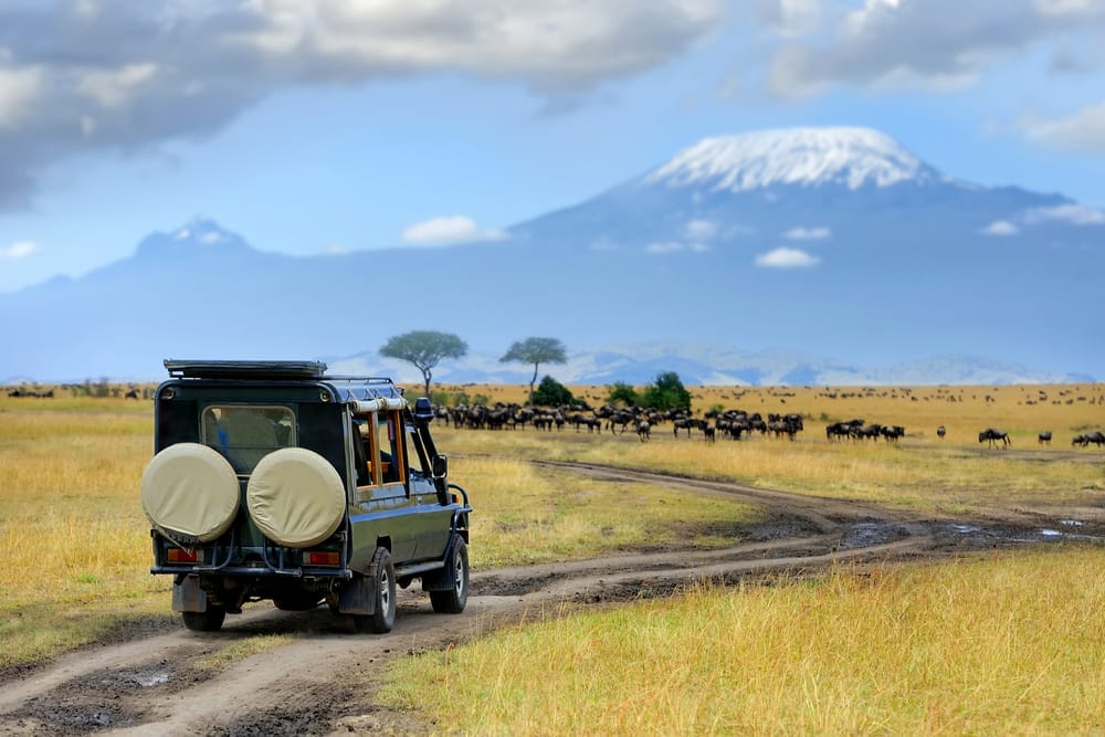 Safari,Game,Drive,With,The,Wildebeest,,Masai,Mara,Reserve,In | Gamewatchers Safaris Jeep