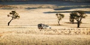 Safari Through Namibia