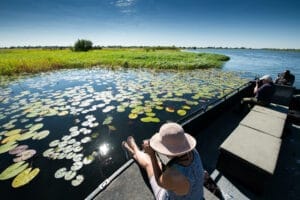 Boat trip Zambezi Mubala Lodge