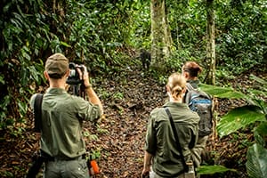 Photographers photographing wildlife in congo