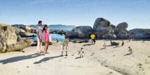 Boulders Beach, South Africa