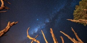 Stars In the Sky