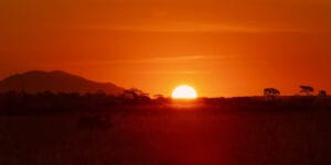 Sunseting in Serengeti National Park