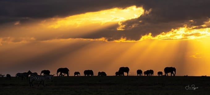 julie-r-sundowner-prc | Gamewatchers Safaris Sunset