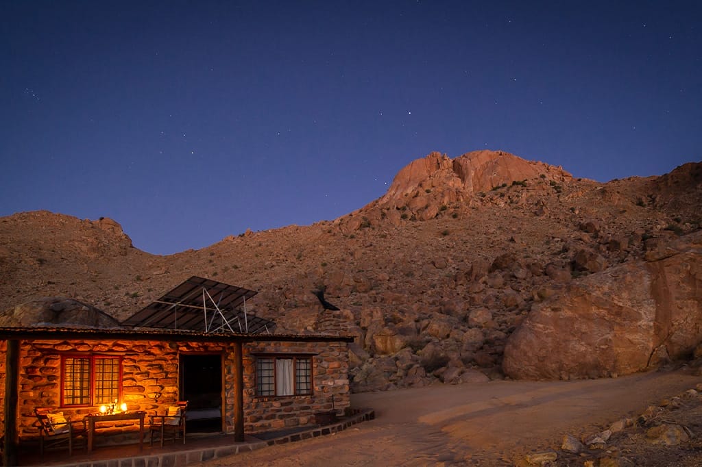 nighttime at nature park