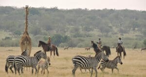 maasai mara horse riding