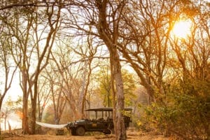 Mana Pools
