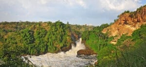 Rainforest Waterfall - Murchison Falls