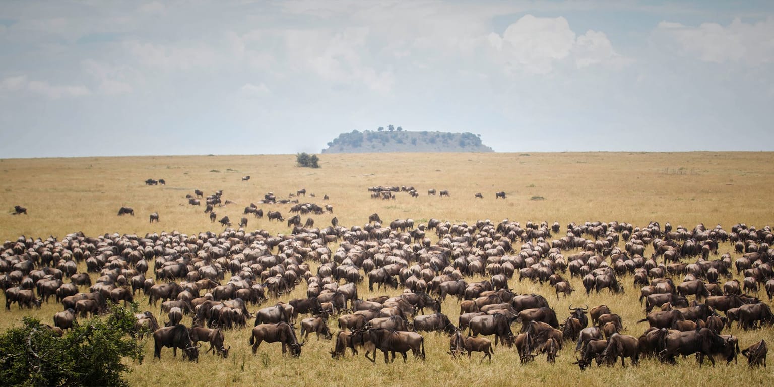 Serengeti National Park, Tanzania