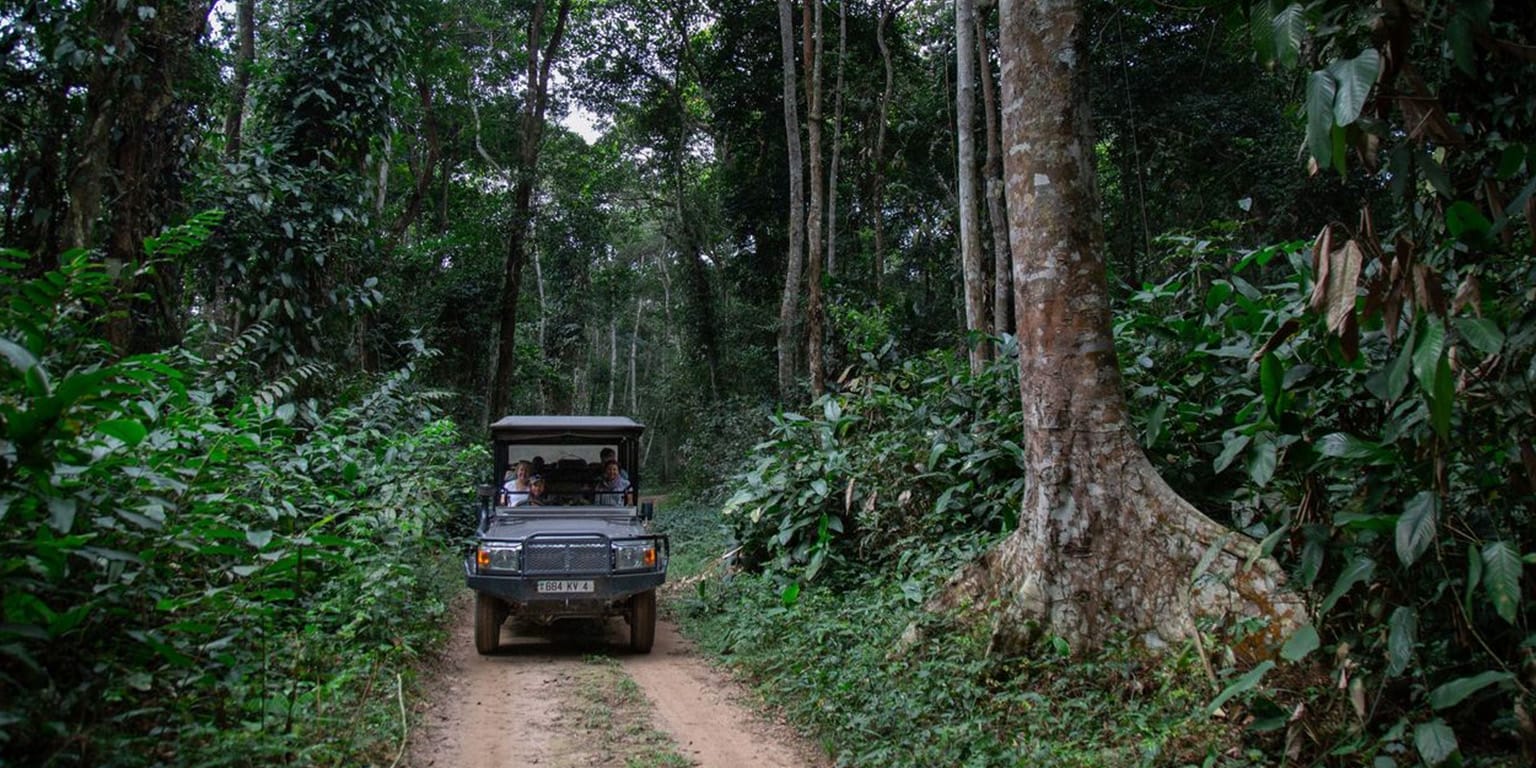 Safari Through Rainforest