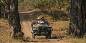 Couple on safari
