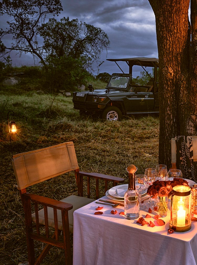 serengeti nimali feature | Gamewatchers Safaris Dining
