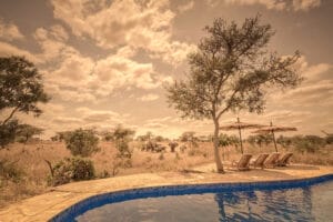 pool with elephants nearby