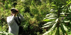 Man Taking Pictures On Safari