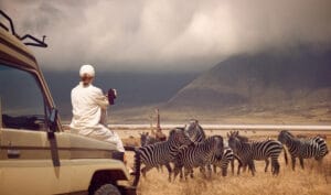 Woman watching Zebras on African Safari