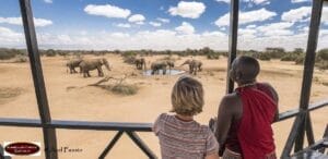 Watching Elephants from a lodge