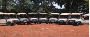 Safari Vehicles