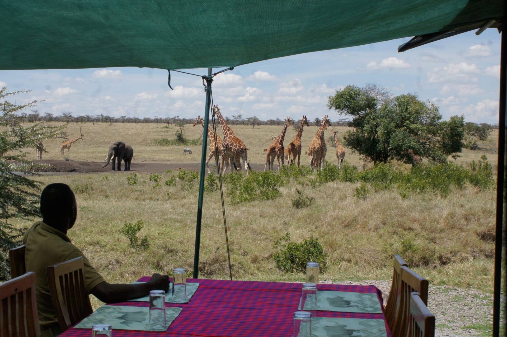 Featured Image | Gamewatchers Safaris Man watching giraffes and elephants on safari