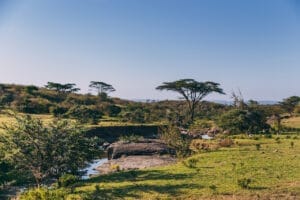 Ol Kinyei Conservancy