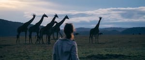 Porini Giraffe Camp I Gamewatchers Safaris