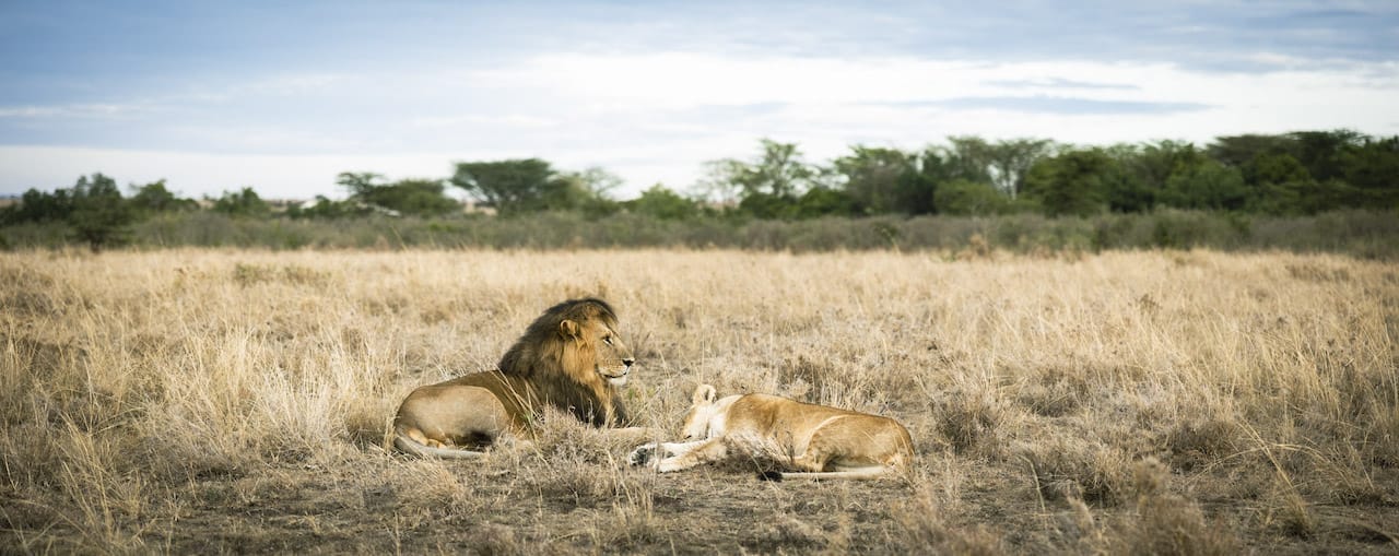 Olare Motorogi Conservancy - photo credit Tomas Rodriguez