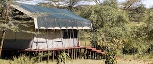 Porini Mara Camp I Gamewatchers Safaris